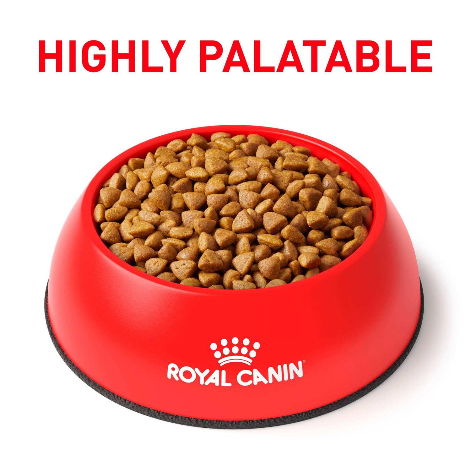 Veterinary Diet Feline Calm Dry Food A9039