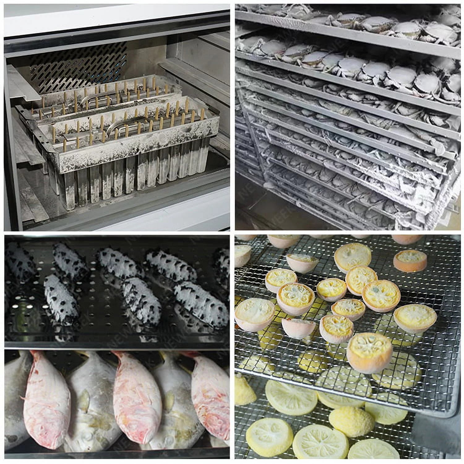 Commercial 3 Trays Blast Chiller & Freezer G362