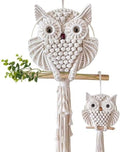 Owl Macrame Wall Hanging Q86023