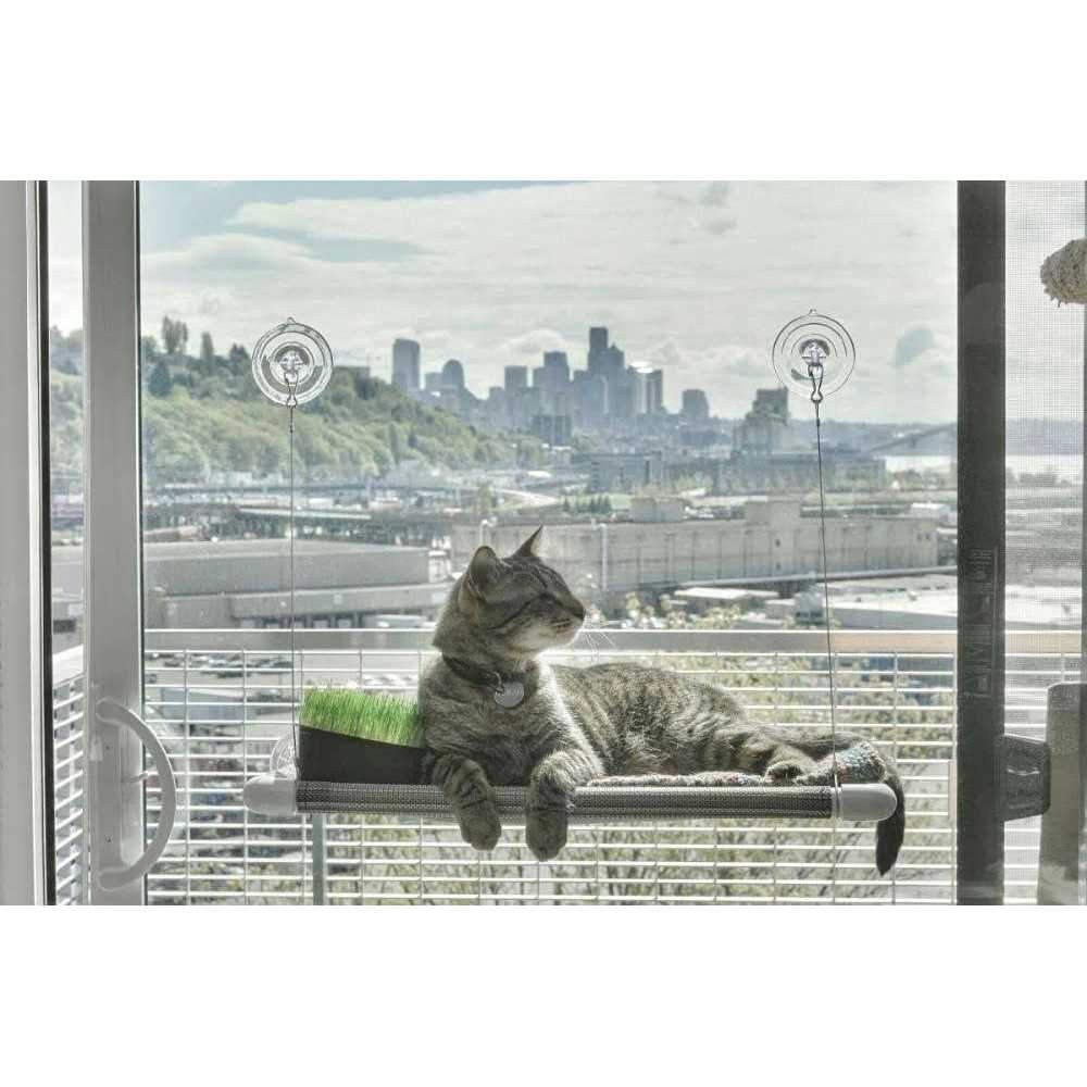 Cat Perch Y39248