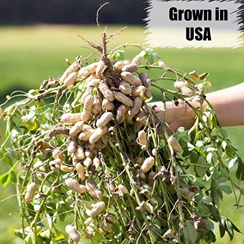 Wildlife Shelled Peanuts, 10 lbs U958