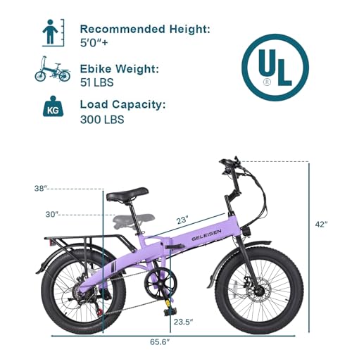 20"×3.0 Fat Tire Folding Electric Bike with 374.4Wh Battery F81545