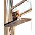 Cat Perch Y39248