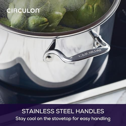 8 Quart Stainless Steel Nonstick Induction Stockpot with Lid F71441