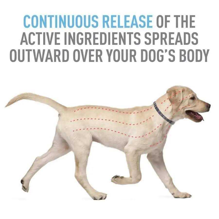Flea Tick Collar for Dogs Puppies L345