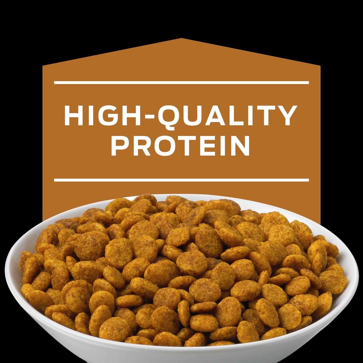 Adult Dry Cat Food J9537
