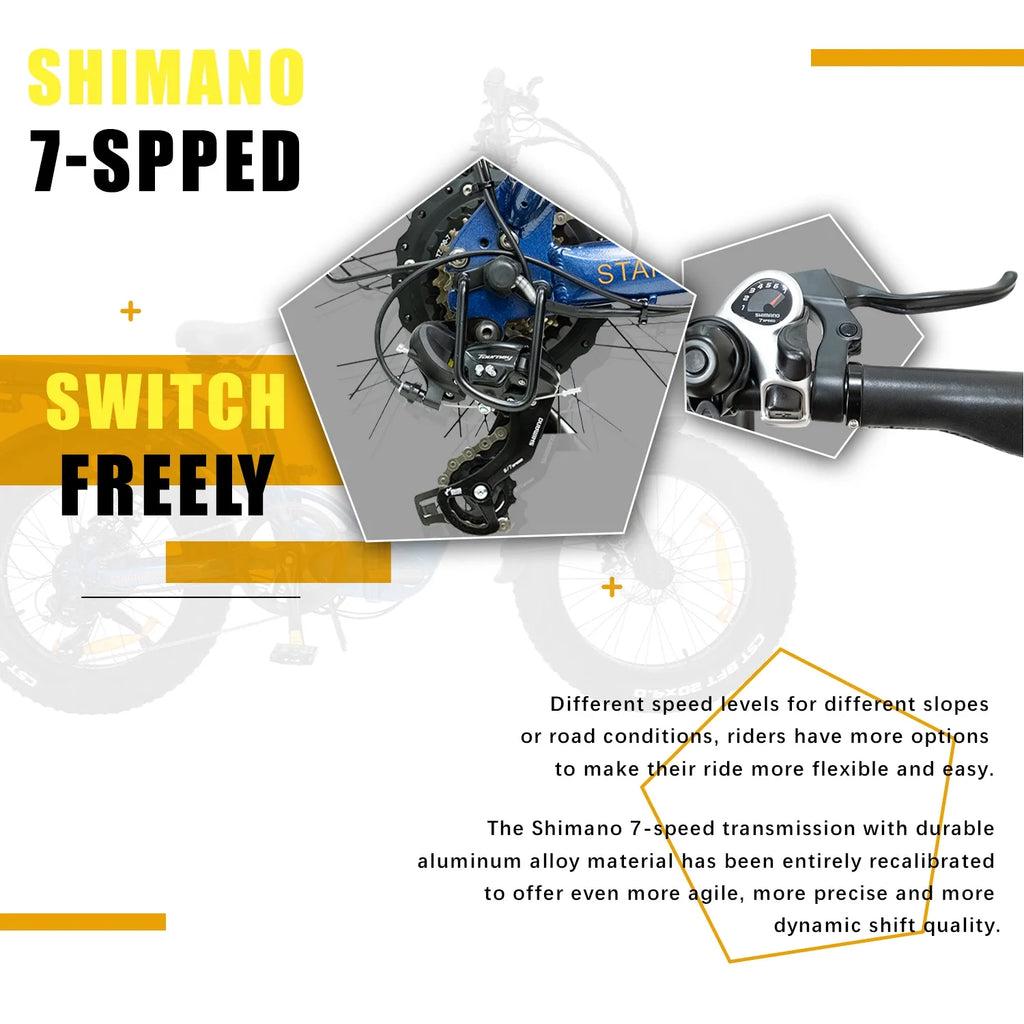 20''×4.0'' Fat Tire Electric Bike with 48V 20AH Removable Battery A87770