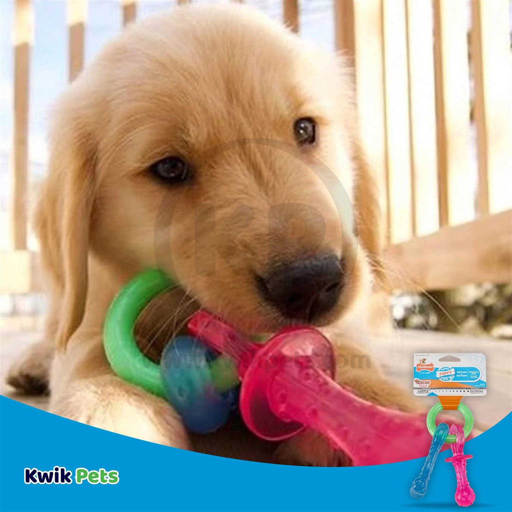 Puppy Chew Teething Pacifier V2395