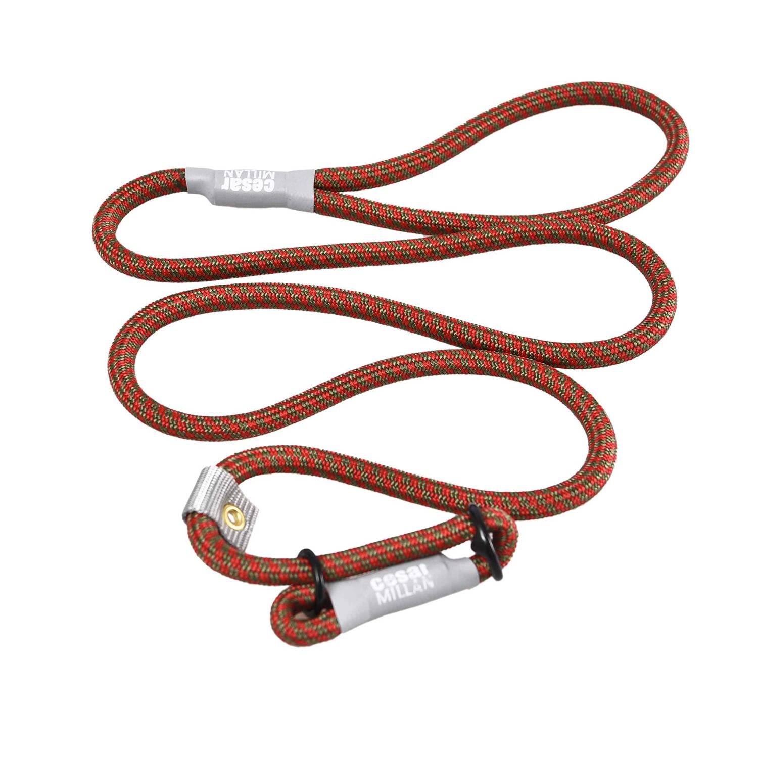 Slip Lead Leash 2-in-1 Dog Training Lead & Collar S43988