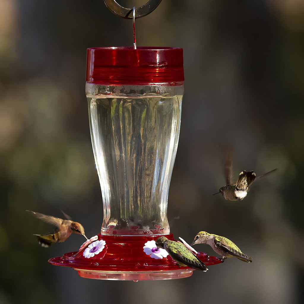 Glass Hummingbird Feeder, 5 Feeding Stations, 40 Ounces J81937