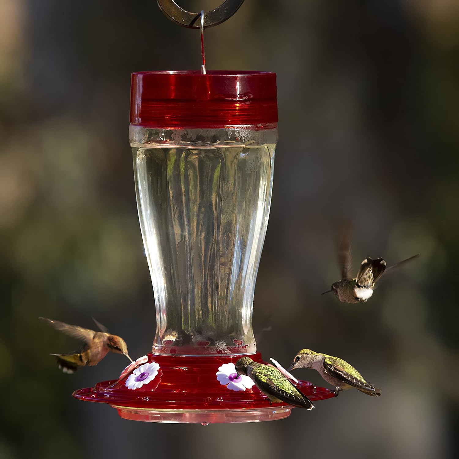 Glass Hummingbird Feeder, 5 Feeding Stations, 40 Ounces J81937