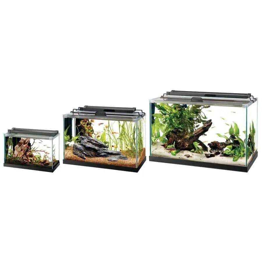 Rimless Rectangle Aquarium E630