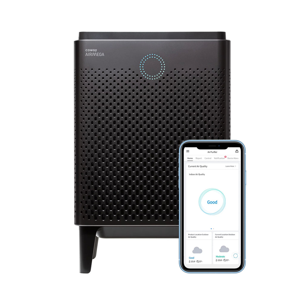 Graphite True HEPA Air Purifier with 1560 sq ft Coverage Y2897