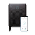 Graphite True HEPA Air Purifier with 1560 sq ft Coverage Y2897
