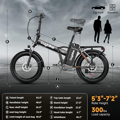 20" Fat Tire 1000W Electric Bike with 48V 20AH Removable Battery M437