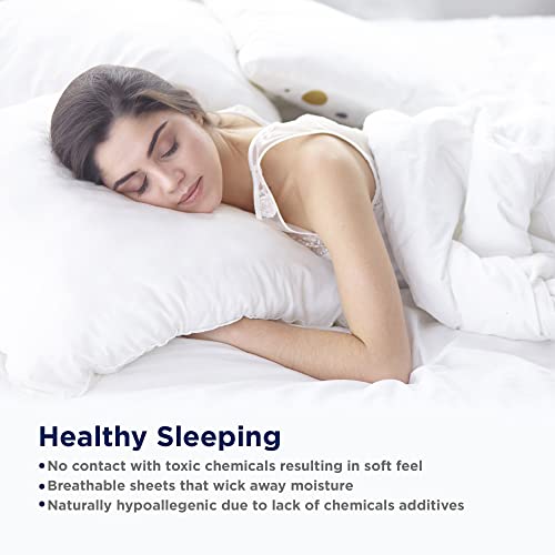 100% Egyptian Cotton Queen Sheets Set Q7198
