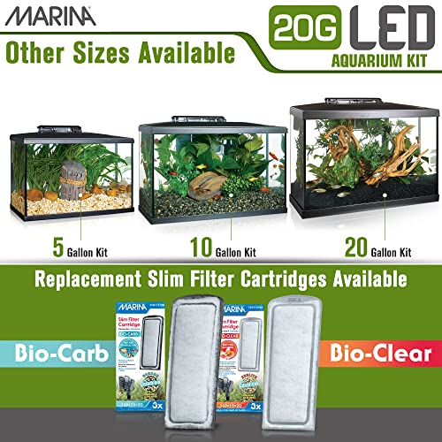 5 Gallon LED Aquarium Kit J976521