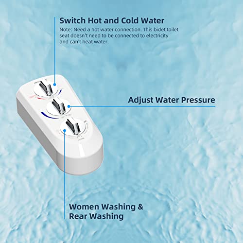 Black Non-Electric Mechanical Bidet Toilet Seat Attachment with Dual Nozzle J925923