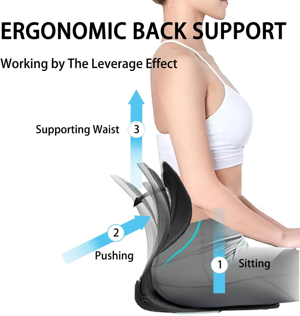 Ergonomic Chair Back Support F59640