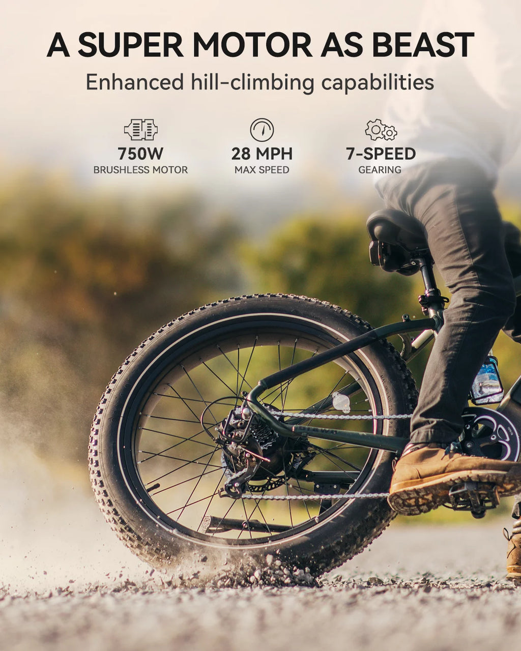 750W Fat Tire Electric Bike with 48V 18Ah Removable Battery U786019