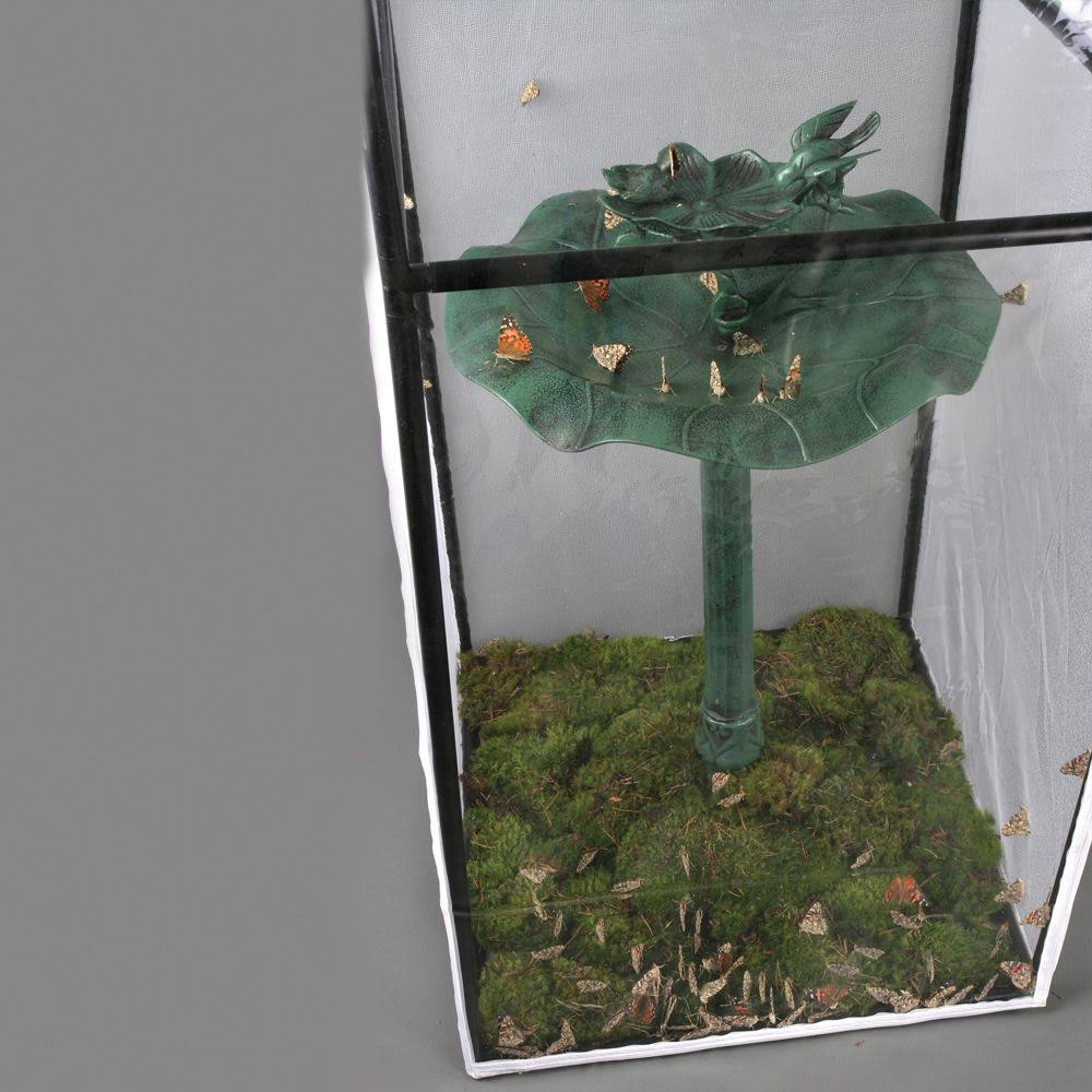 Butterfly Display Cage N958