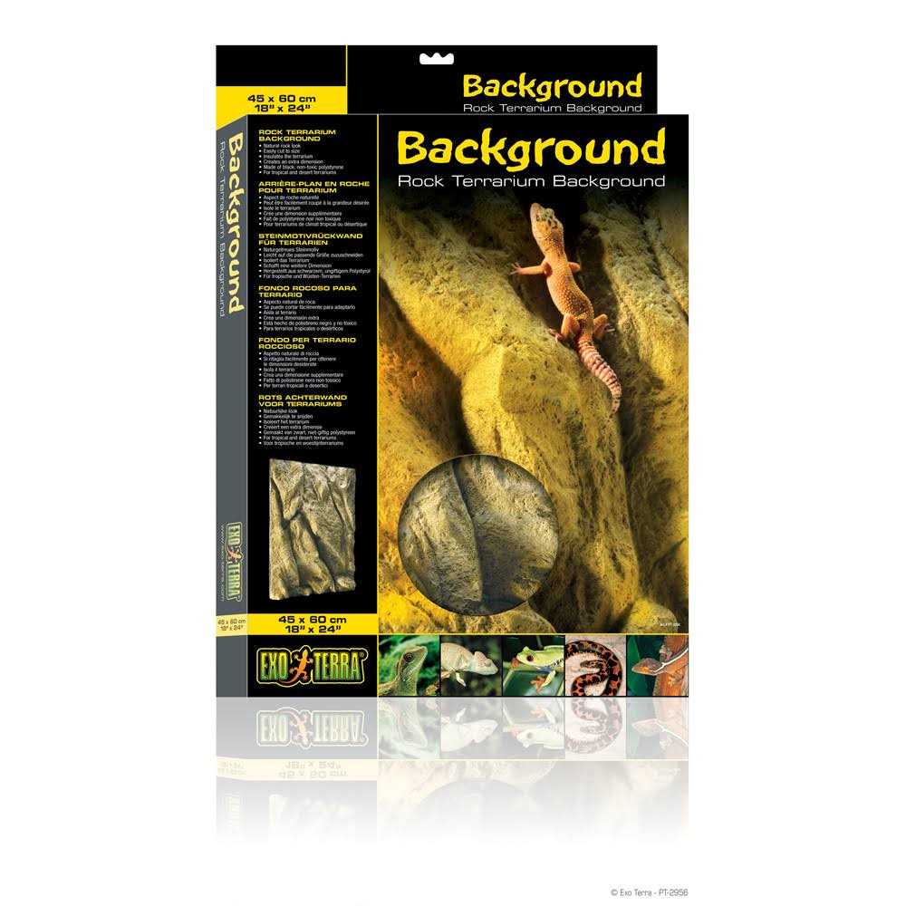 Rock Terrarium Background H712