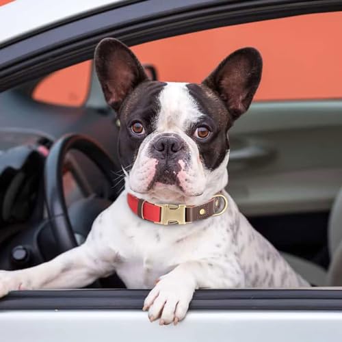 Brown Leather Dog Collar with Quick Release Metal Buckle B79862