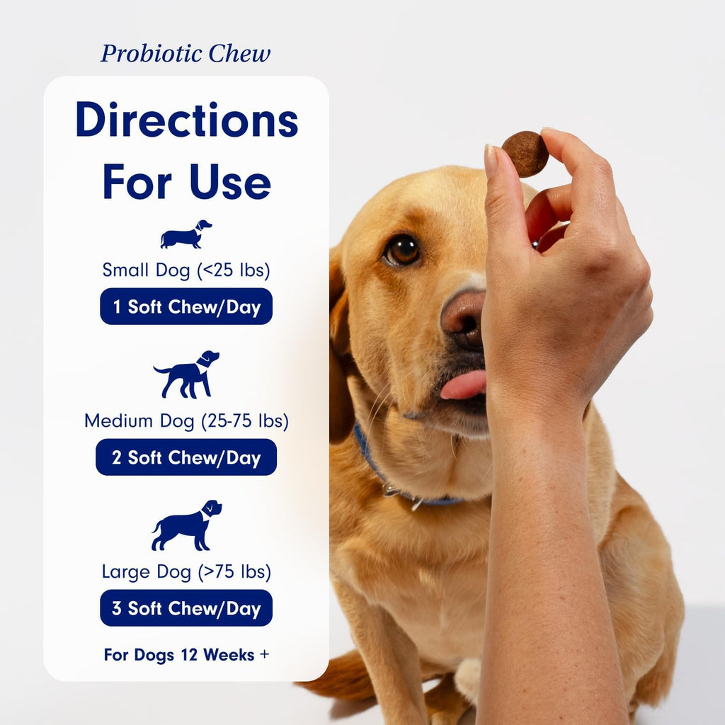 Gut & Breath Bundle: Dental Powder for Fresh Breath, Salmon Dog Probiotics F7126