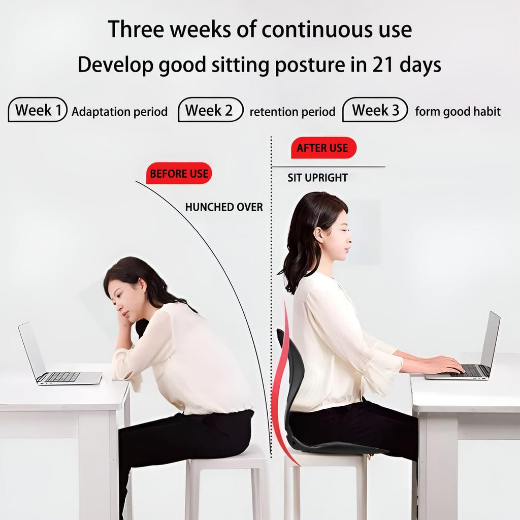 Ergonomic Chair Back Support F59640