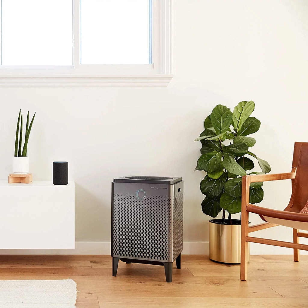 Graphite True HEPA Air Purifier with 1560 sq ft Coverage Y2897