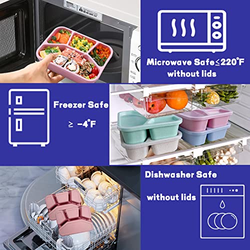 8 Pack Wheat Straw Bento Lunch Containers P419152