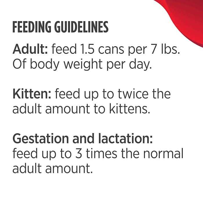 Wet Cat Food Y598448