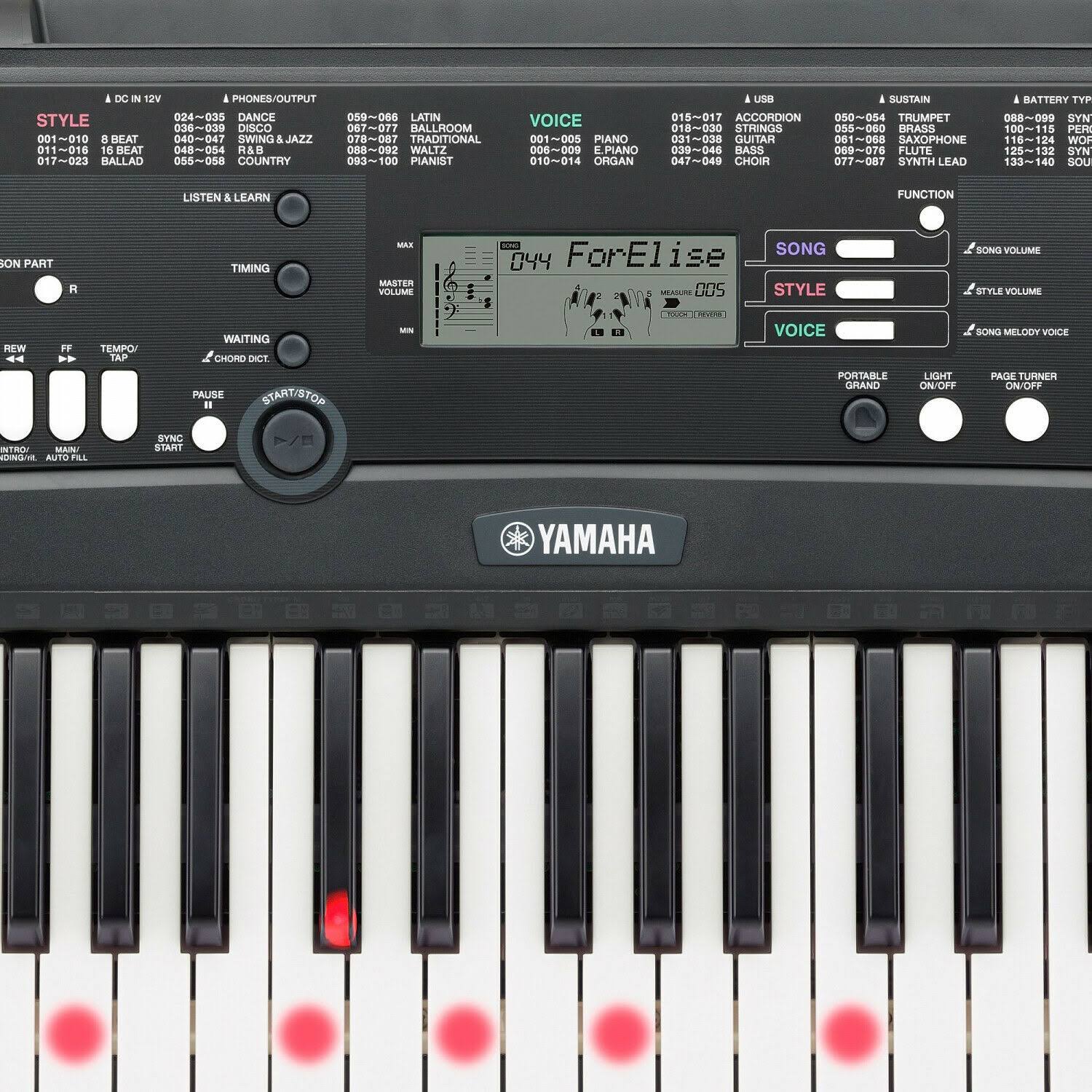 Keyboard with Lighted Keys W240494