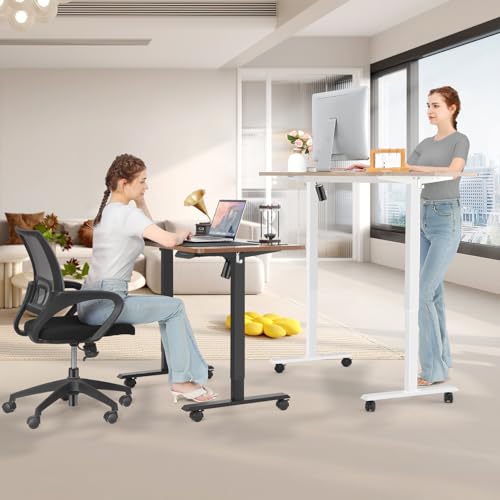 55'' x 24'' Electric Adjustable Height Sit Stand Desk with Charging Station (Oak) O6843