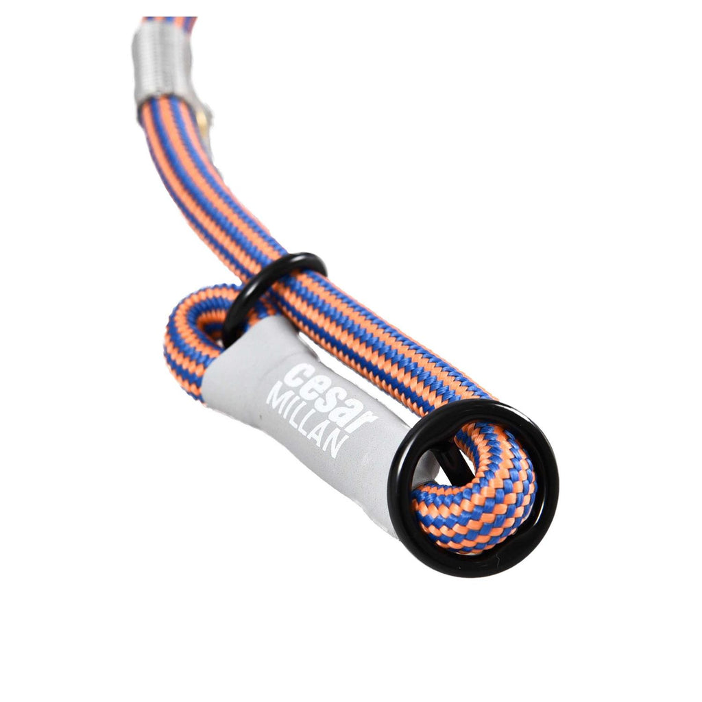 Slip Lead Leash 2-in-1 Dog Training Lead & Collar S43988