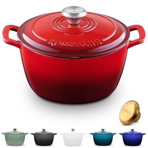 Enameled Cast Iron Dutch Oven, Non-Stick Serving Pot with Tight Fitting Lid, 10Q (9.5L) Ocean Blue X66948