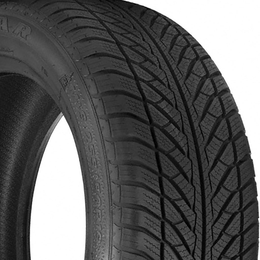 205/55R16 94H XL Winter Passenger Tire M814519