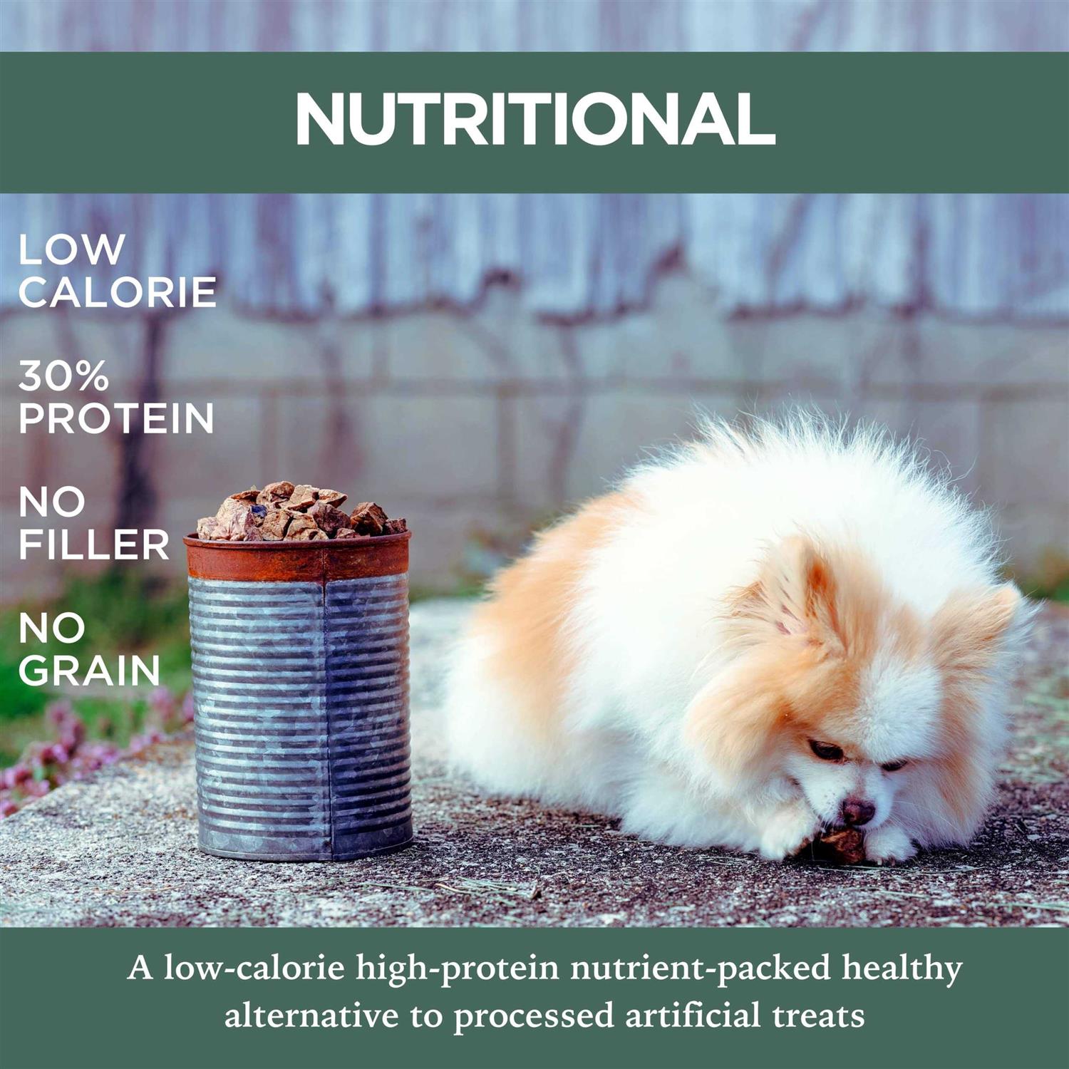 Low to Odor Free Slow Roasted Beef Lung Bites Dog Treats D63528