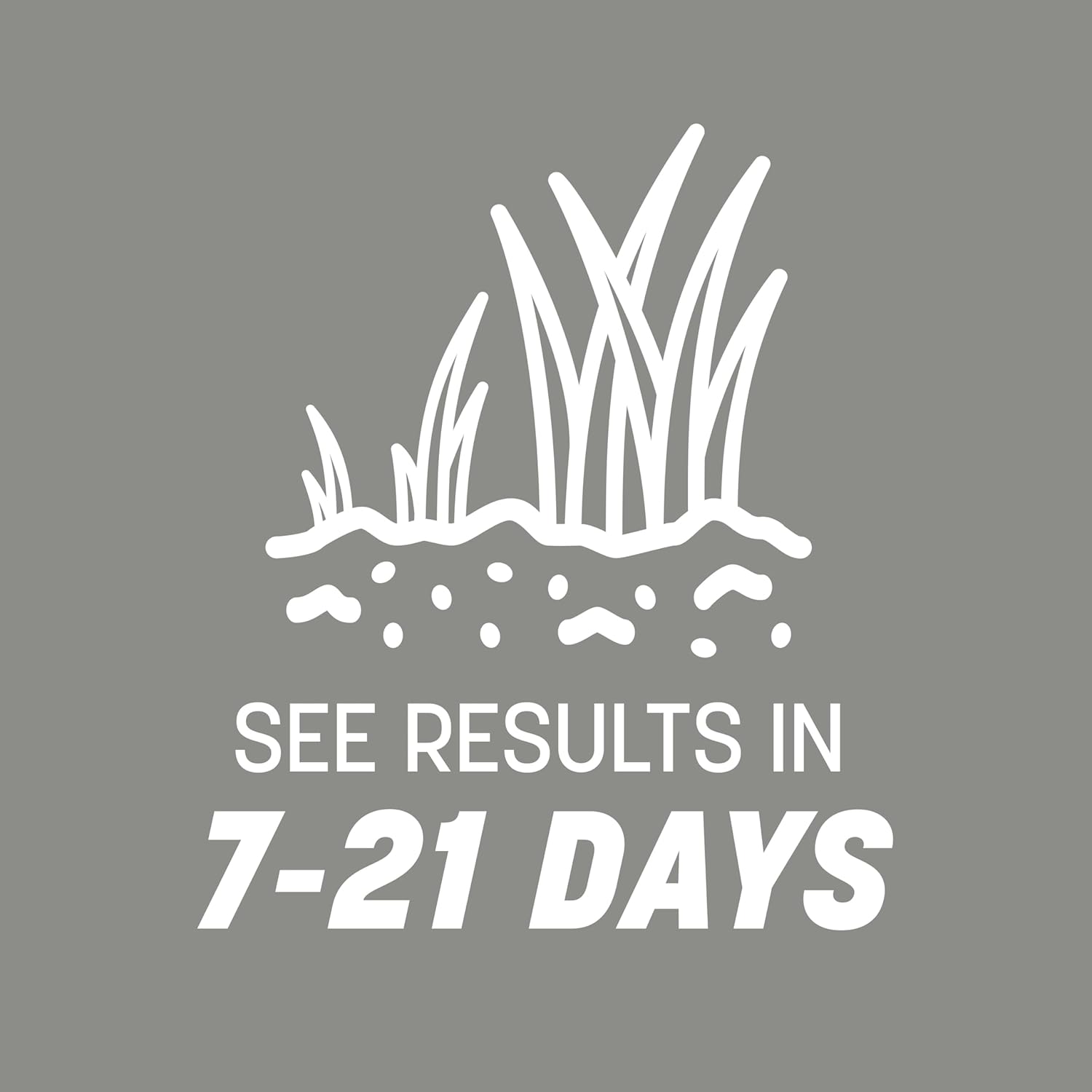 40 lb Northern Grass Seed Mix K882