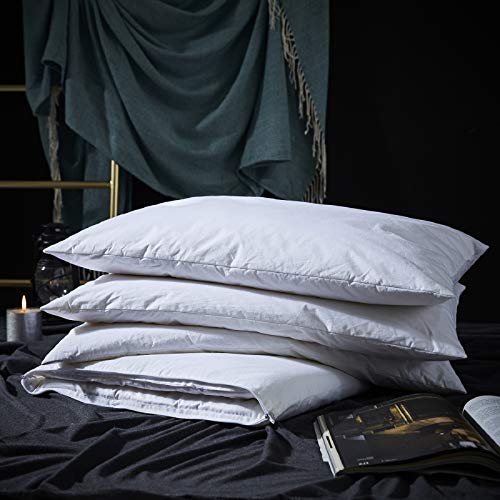 King Size Goose Feather Pillow with Cotton Cover Q169247