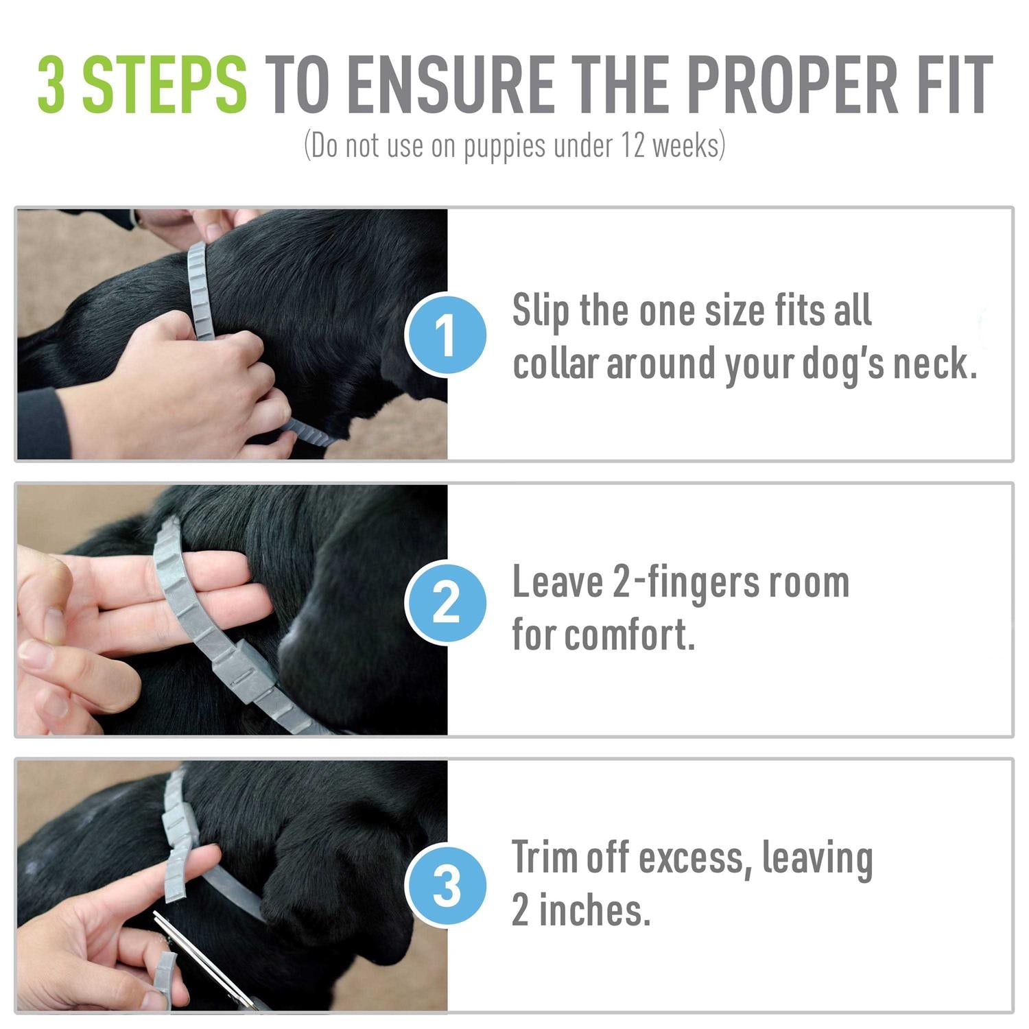 Flea Tick Collar for Dogs Puppies L345