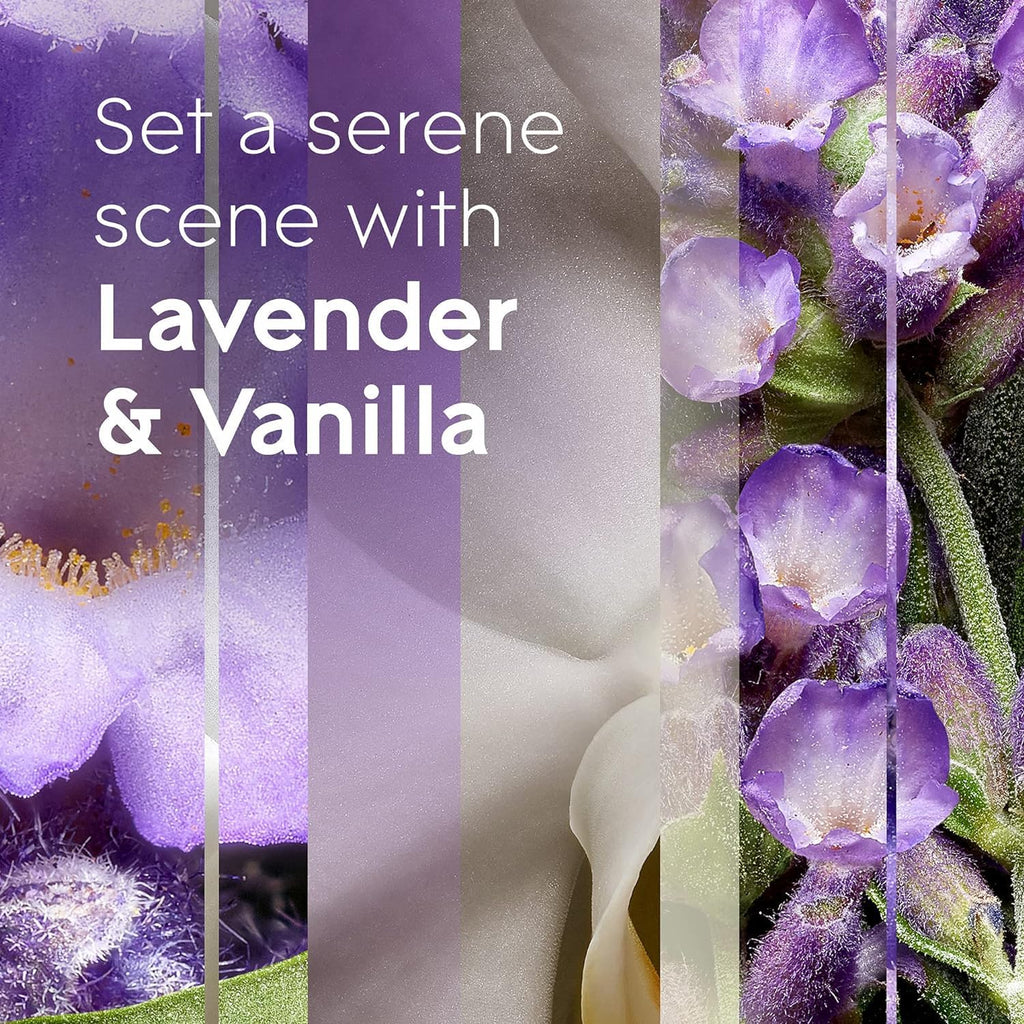 3-Pack Lavender and Vanilla 6.2 OZ Automatic Spray Refill A22233