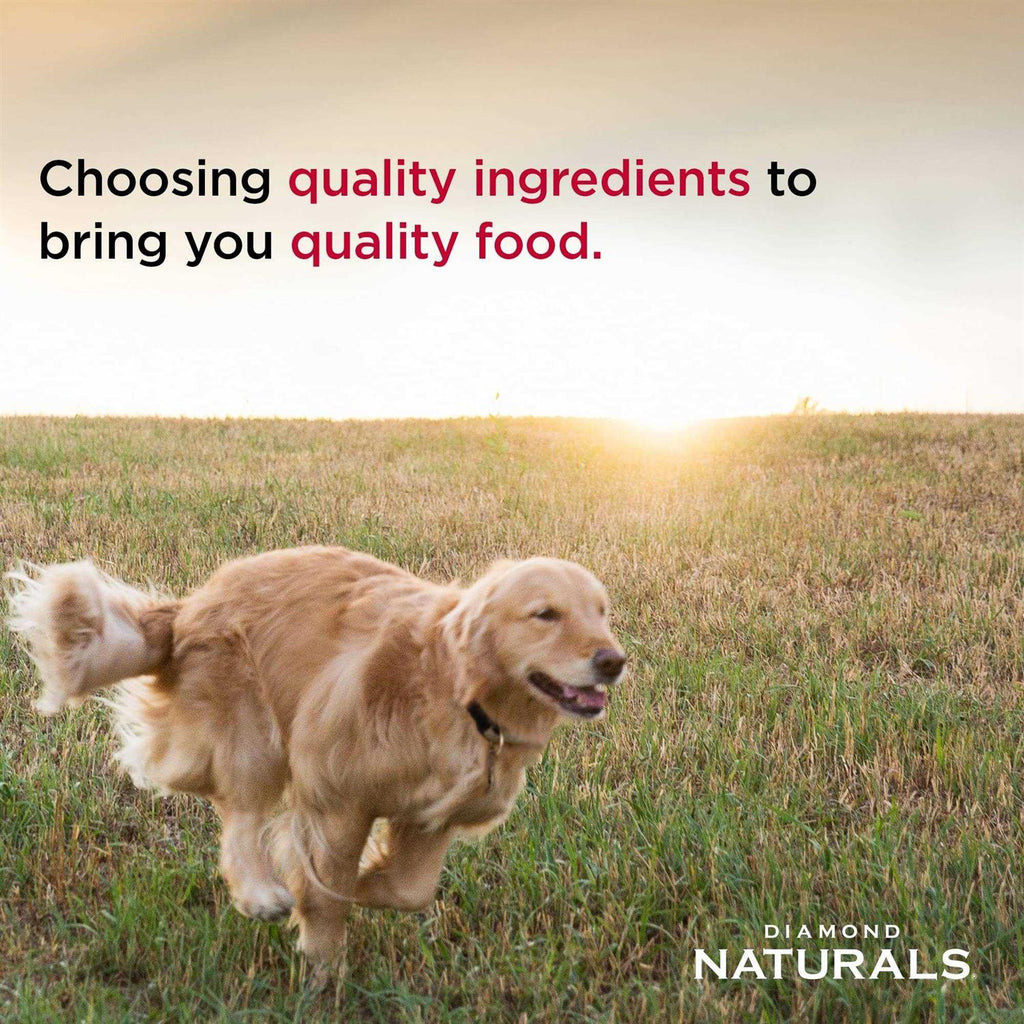Large Breed Puppy Lamb Rice Food E137450