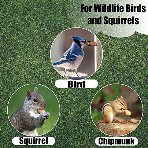 Wildlife Shelled Peanuts, 10 lbs U958