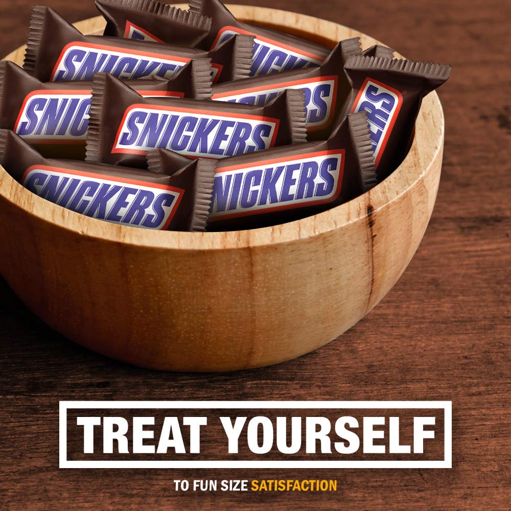 10.59-Ounce Bag of Fun Size Chocolate Candy Bars R1762