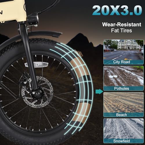 20"×3.0 Fat Tire Folding Electric Bike with 374.4Wh Battery F81545