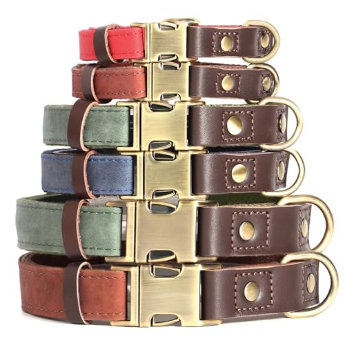 Brown Leather Dog Collar with Quick Release Metal Buckle B79862