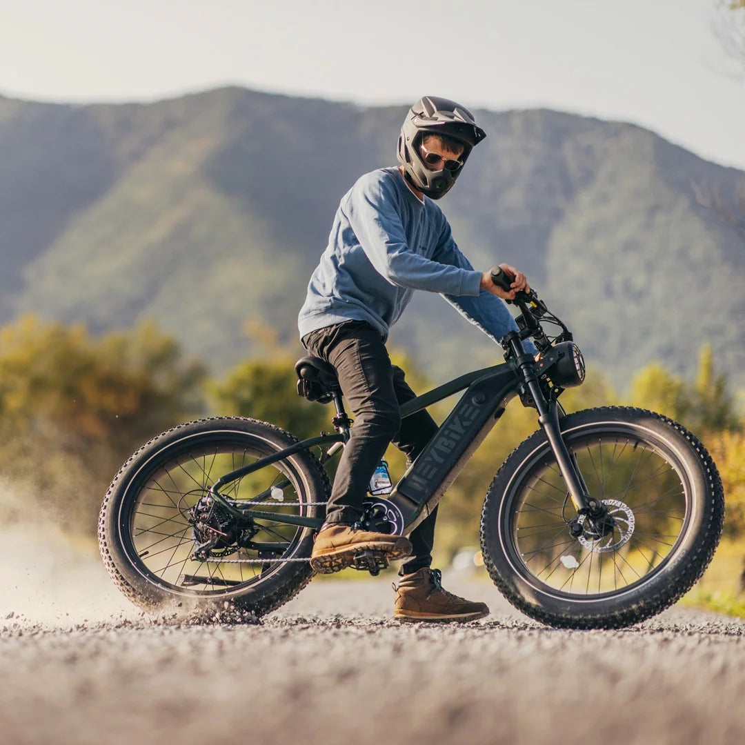 750W Fat Tire Electric Bike with 48V 18Ah Removable Battery U786019