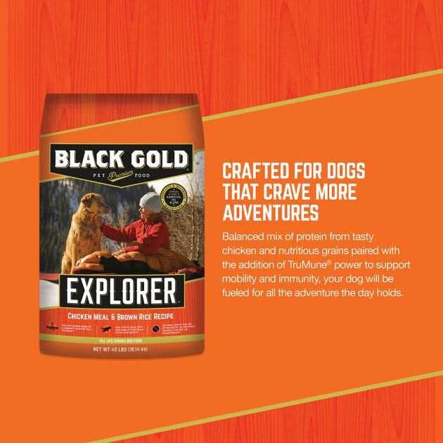 Black Gold Explorer Dog Food Chicken Meal & Brown Rice Formula R488711