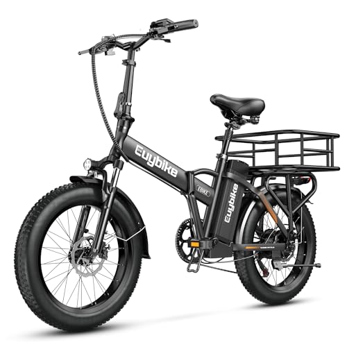 20" Fat Tire 1000W Electric Bike with 48V 20AH Removable Battery M437